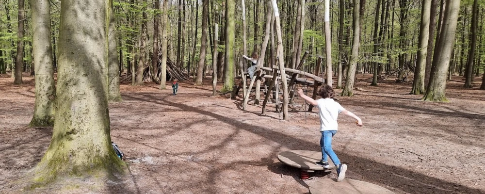 Boomkroonpad en speelbos Drouwen