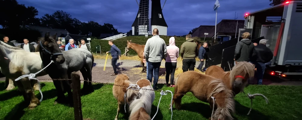 Roldermarkt Paardenmarkt 2024 in alle vroegte