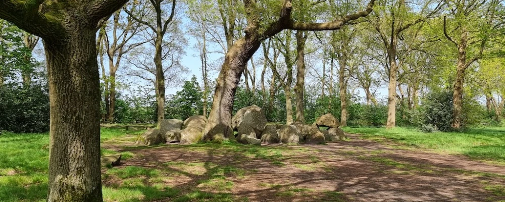 Hunebed D17 Hunebed D17