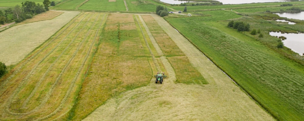 A farmer mows the grass