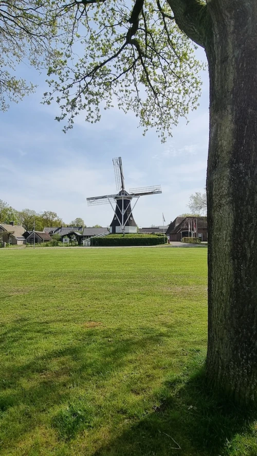 De molen van Rolde