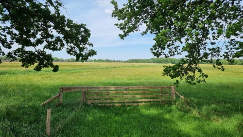 Veld bij Balloërveld