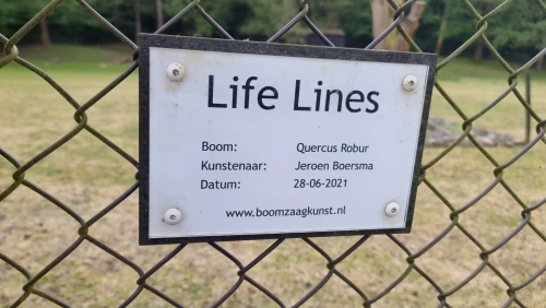 Plaquette van Life Lines